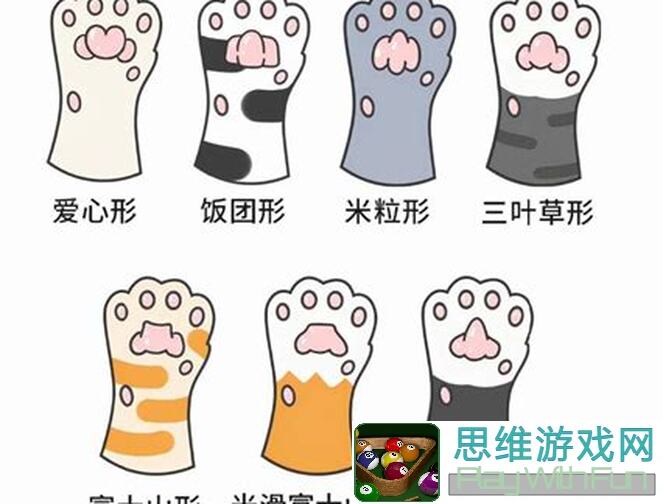 猫咪之城的秘密：伊德的独特魅力大揭秘！