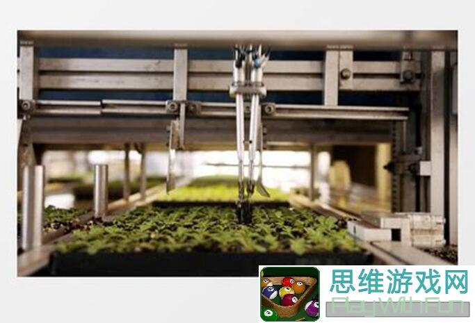 亲测最强种子搬运攻略，助你秒变建造大师！你知道怎么玩吗？