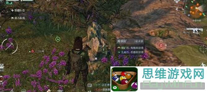 黎明觉醒：生机经验拉满赢在起跑线！快速升级秘籍大公开！