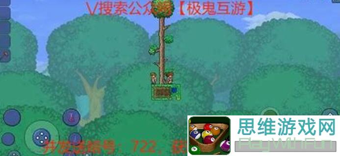 泰拉瑞亚五宠物获取攻略：教你速成秘籍！
