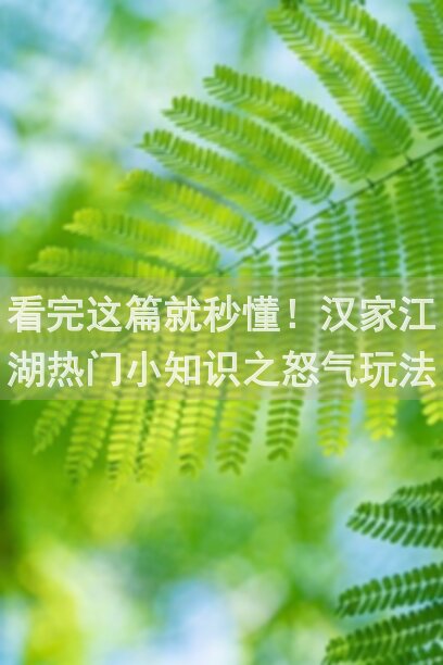 看完这篇就秒懂!汉家江湖热门小知识之怒气玩法大揭秘