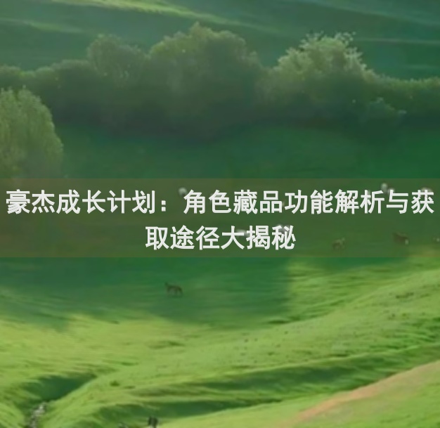豪杰成长计划：角色藏品功能解析与获取途径大揭秘