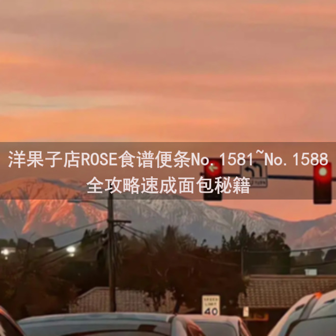 洋果子店ROSE食谱便条No.1581~No.1588全攻略速成面包秘籍