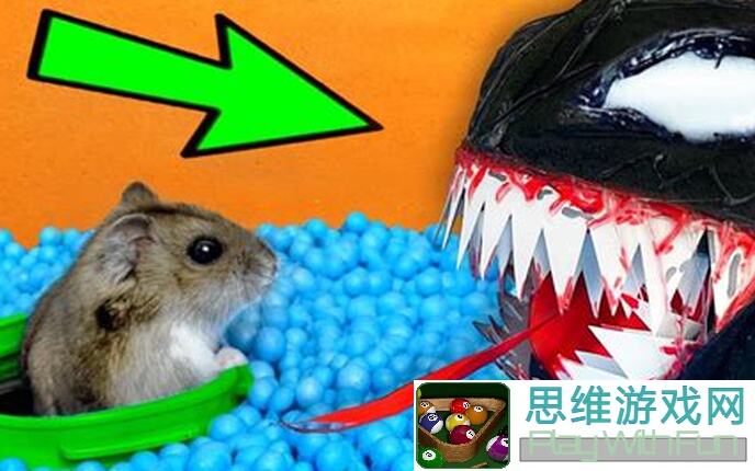 零基础玩家福利！Hamster Maze仓鼠迷宫详细技巧攻略，带你轻松秒变迷宫高手！