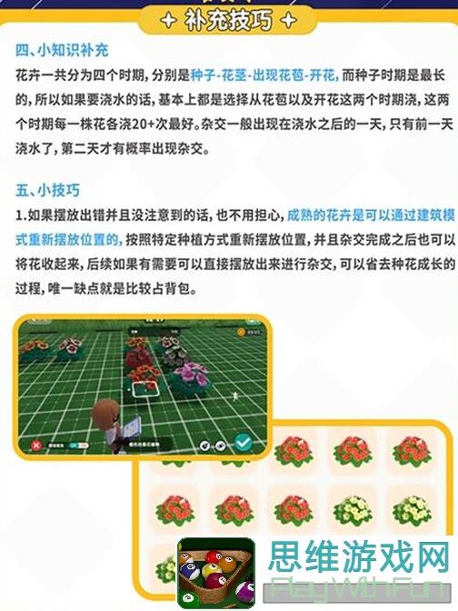 心动小镇奇灵夜季大揭秘：南瓜农作物种植攻略，教你5个快速收成技巧！